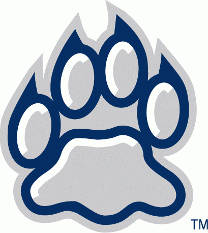 New Hampshire Wildcats 2000-Pres Alternate Logo v3 iron on transfers for fabric